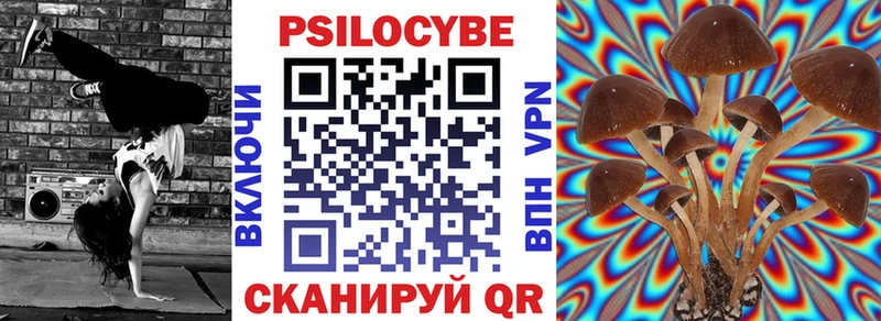 Галлюциногенные грибы Magic Shrooms  Купить где  Медвежьегорск 